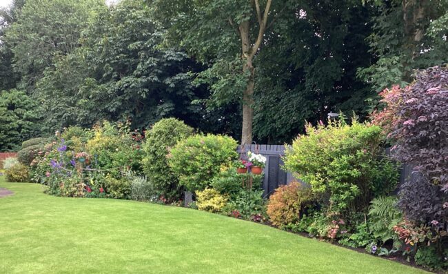 M Simpson garden – comp winner 24